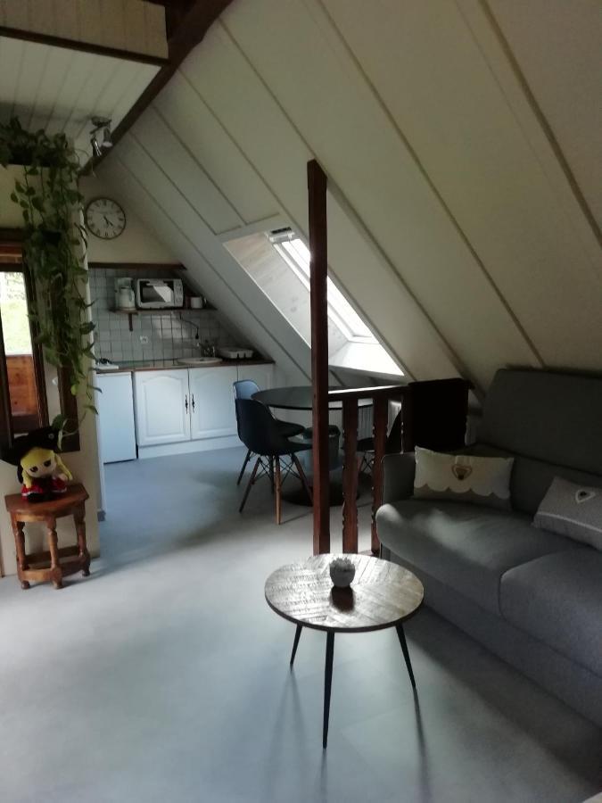Romantic Studio Vacances Labaroche Exteriör bild