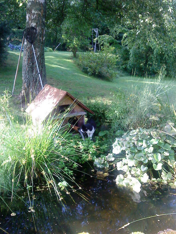 Romantic Studio Vacances Labaroche Exteriör bild